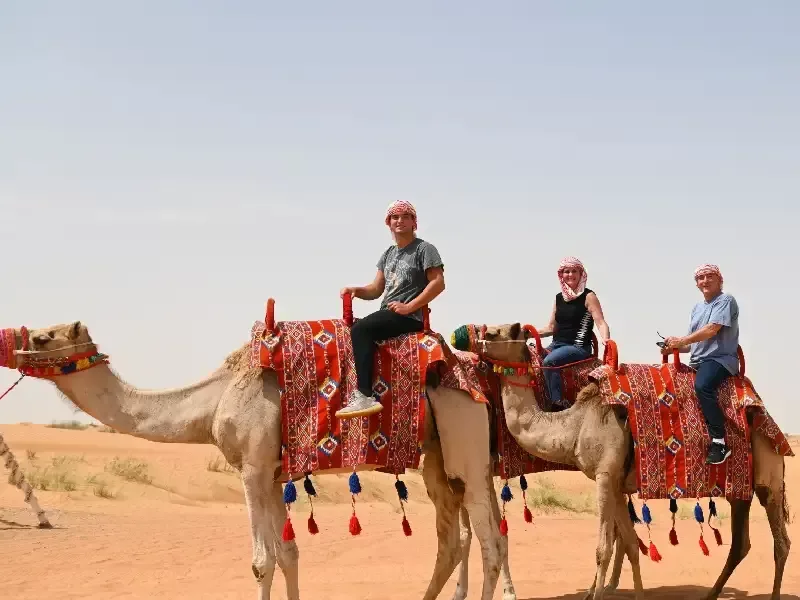 Safari nel Deserto con Pernottamento in Campo Desertico